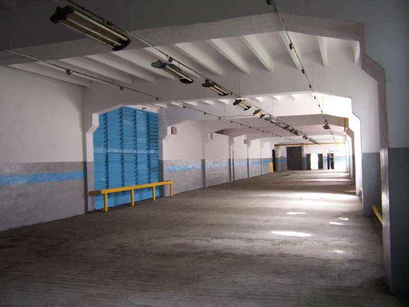 13.000 m2 - pow. - 4